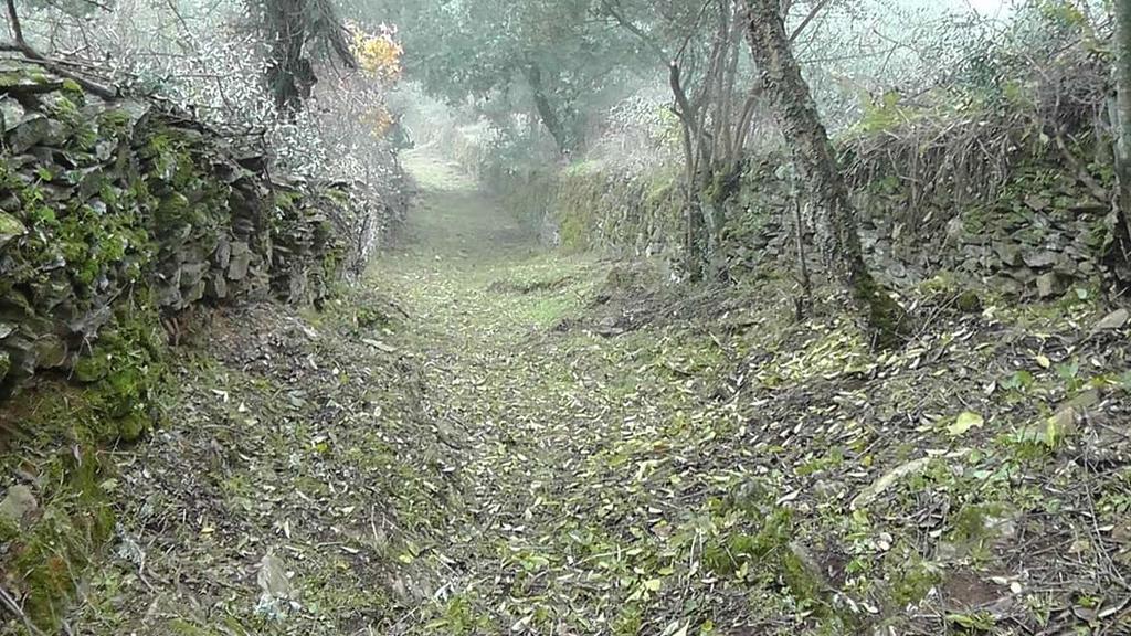 Los Montes Pensionat Casas de Miravete Exteriör bild