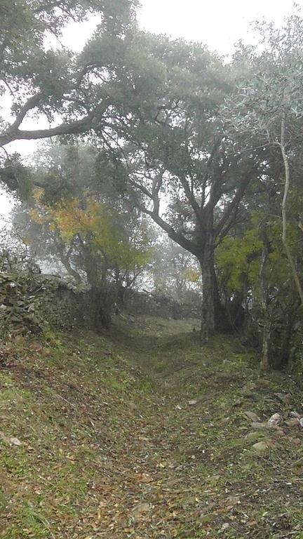 Los Montes Pensionat Casas de Miravete Exteriör bild